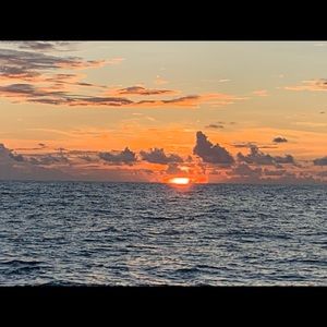 Meet your Posher, Brittaney